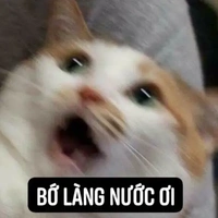 Bộ Tứ báo thủ (-Hòa)