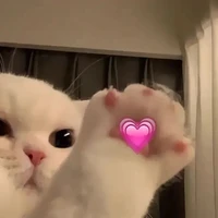 t/g