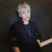 Lê Hồng Sơn(🐦)