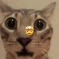 con nhỏ t/g bị xồn làm