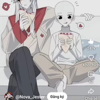 Y/N
