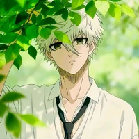 hệ thống sai đẹp triêu