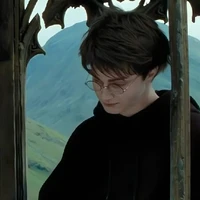 Harry James Potter