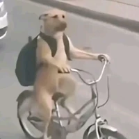 Tâm ❤️ nem chua