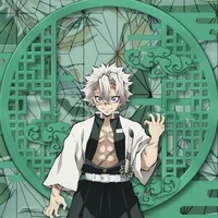 Shinazugawa Sanemi – Phong Trụ