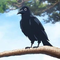 Quạ Tổng Hợp