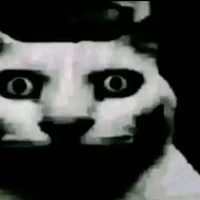 twisted dyle