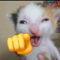 ???