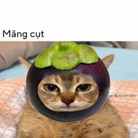 Tác giả
