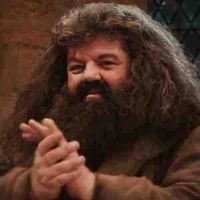 Rubeus Hagrid