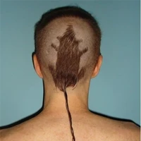 Tác giả xàm lờ