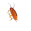 Cô gián slayyy~