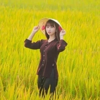 Hà Vy