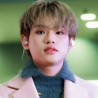 Bùi Trường Linh - buitruonglinh