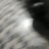 ai vậy má