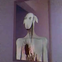 all Survivor (-thk nào ko liên quan)