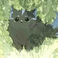 Meows/Hệ thống 173