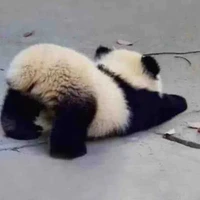 Sora hay quên thoại