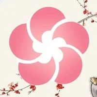 Hoa Sơn hiện tại