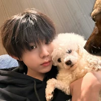 trần dịch hằng-anh