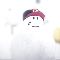 guest