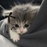 Tgiả
