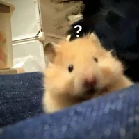 T/g - chuột - chụt