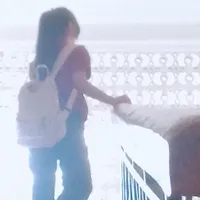 tác giả❤️Đào