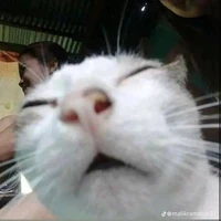 Tác giả nek :>