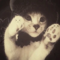 tác giả cute phô mai que