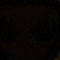 NVP