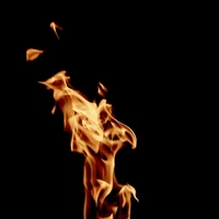 Firebrand