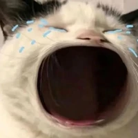 Coan nhỏ tác giả