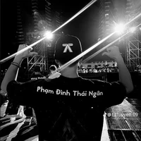 Phạm Đình Thái Ngân