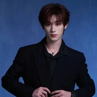 Đinh Trình Hâm