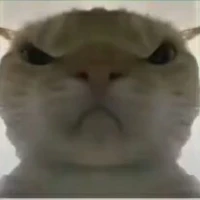 tg