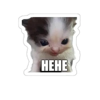 Mèo hehe