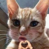 ý ( hưm hưm )