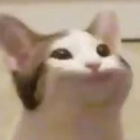 Uyên