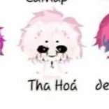 Tha  Hóa