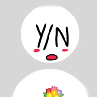 Y/N