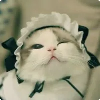 nhóm hiha