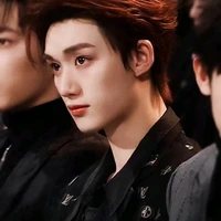 đinh trình hâm