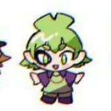 robin