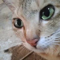 bè tièn 🐱🤟