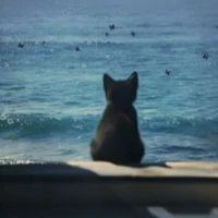 𝕤𝕦𝕡𝕡𝕠𝕣𝕥𝕚𝕟𝕘 𝕔𝕙𝕒𝕣𝕒𝕔𝕥𝕖𝕣