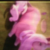 kì lân-fasi(thần thú của ink)