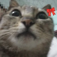 t.giả xồn làm :))