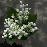 ﾟ°☆ All ˖◛⁺⑅♡