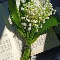 Mấy đứa lồ vô duyên